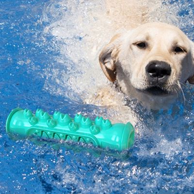 jouet-chien-eau