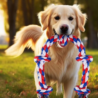 jouet-chien-rouge