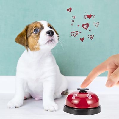 jouet-interactif-pour-chien-amour