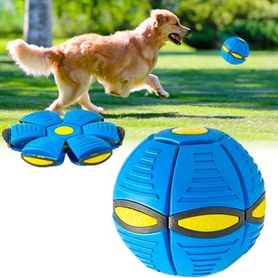jouet-interactif-pour-chien-amusement