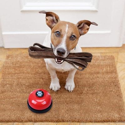 jouet-interactif-pour-chien-communication