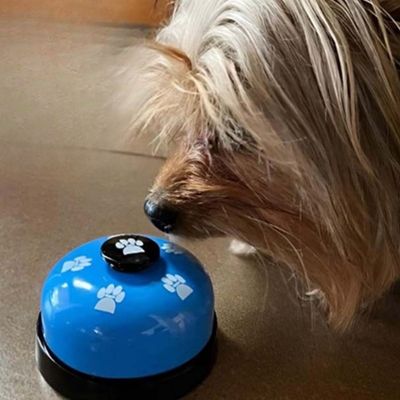 jouet-interactif-pour-chien-intelligence