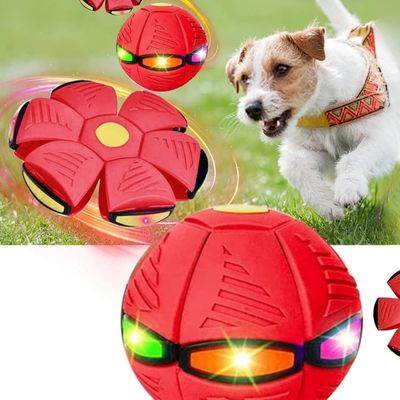 jouet-interactif-pour-chien-jeu