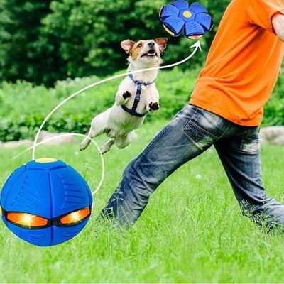 jouet-interactif-pour-chien-plaisir