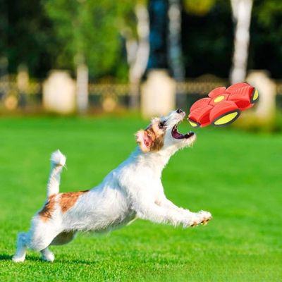 jouet-interactif-pour-chien-rouge