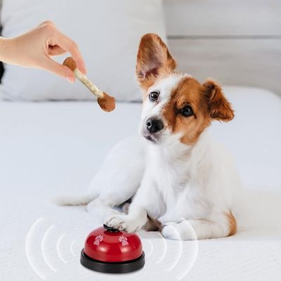 jouet-interactif-pour-chien-stimulation