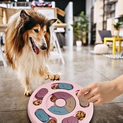 jouet-pour-chien-amusement