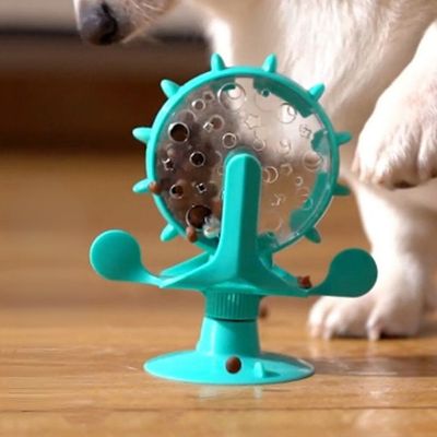 jouet-pour-chien-bleu