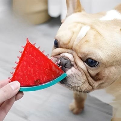 jouet-pour-chien-bouldog