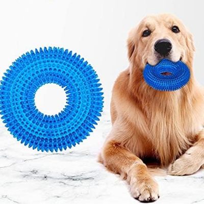 jouet-pour-chien-calme