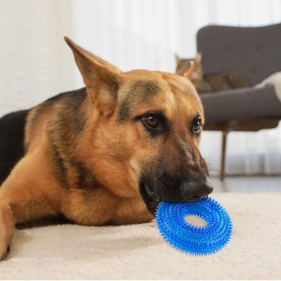 jouet-pour-chien-depense