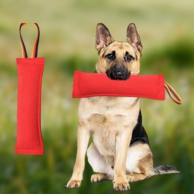 jouet-pour-chien-energie