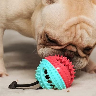 jouet-pour-chien-jeu