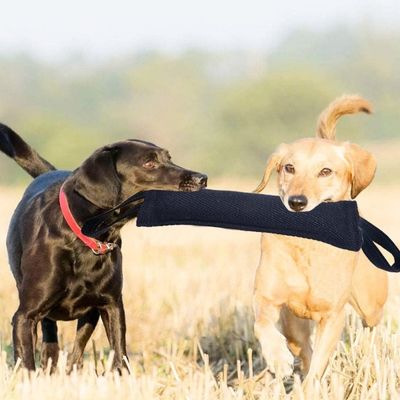 jouet-pour-chien-jeu