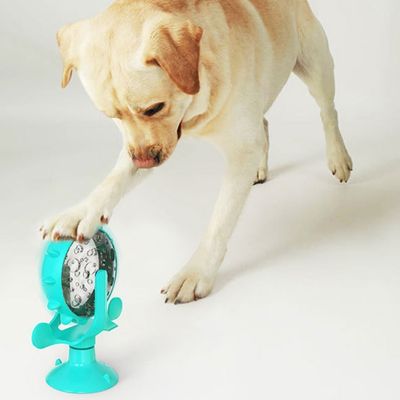 jouet-pour-chien-jeu