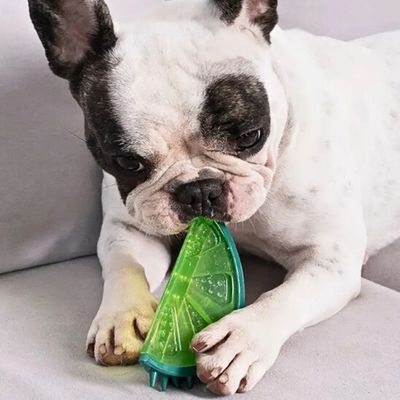jouet-pour-chien-lime