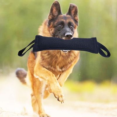 jouet-pour-chien-noir