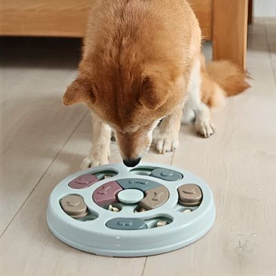 jouet-pour-chien-stress