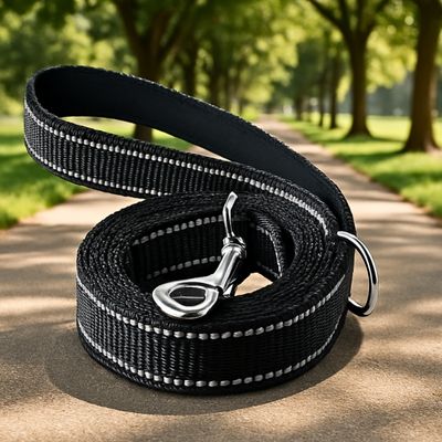 laisse-chien-parc