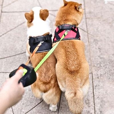 laisse-double-pour-chien-deux