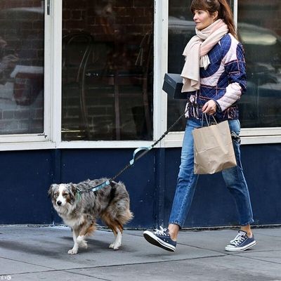 laisse-mains-libres-pour-chien-jean