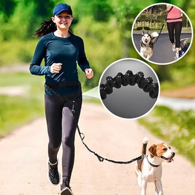 laisse-mains-libres-pour-chien-sport