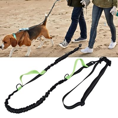 laisse-mains-libres-pour-chien-vert