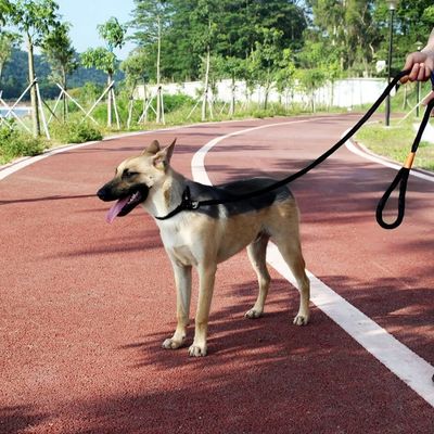 laisse-pour-chien-noire