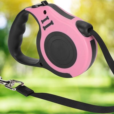 laisse-pour-chien-solide