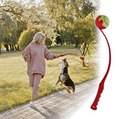 lanceur-de-balle-pour-chien-blonde