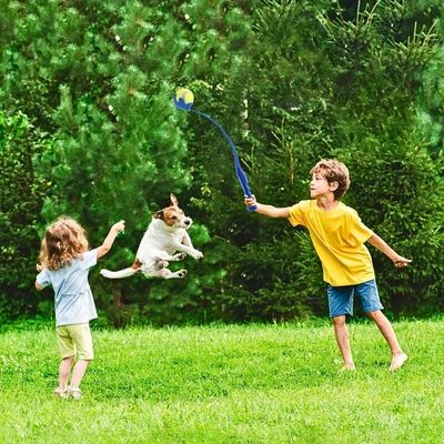 lanceur-de-balle-pour-chien-enfants