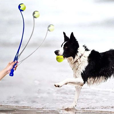 lanceur-de-balle-pour-chien-plage