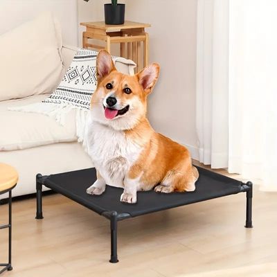 lit-chien-exterieur