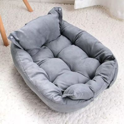lit chien gris
