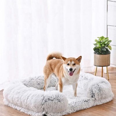 lit-pour-chien-elegant