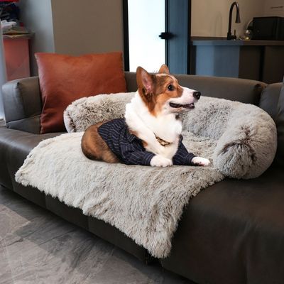 lit-pour-chien-protection