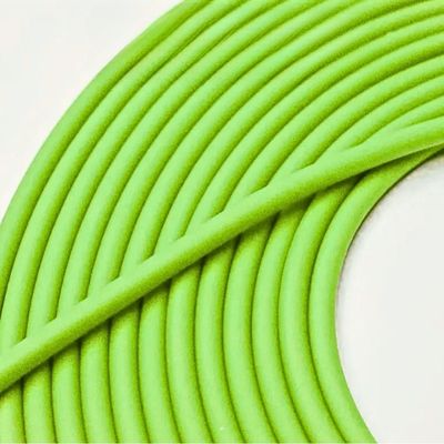 longe pour chien vert