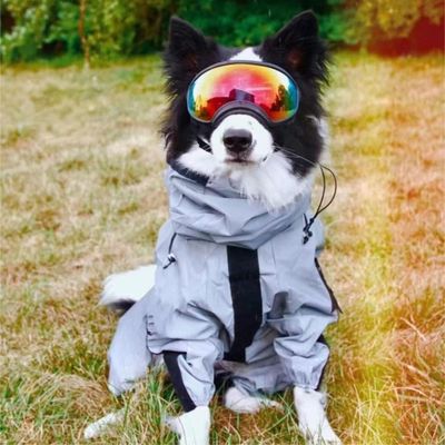 manteau-impermeable-pour-chien-confort