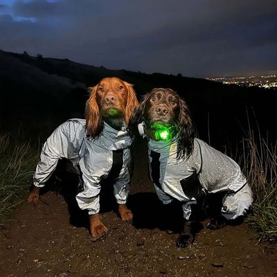 manteau-impermeable-pour-chien-couple