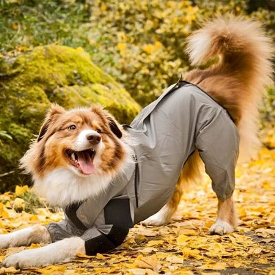 manteau-impermeable-pour-chien-etirement