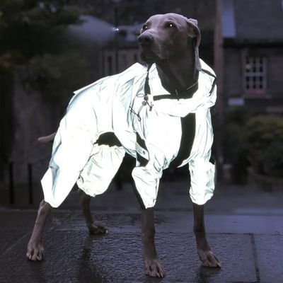 manteau-impermeable-pour-chien-illumine