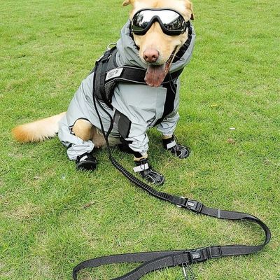 manteau-impermeable-pour-chien-lunette