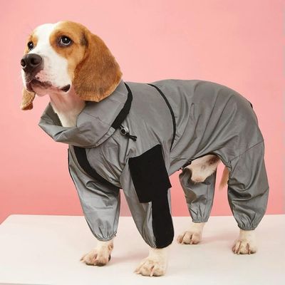 manteau-impermeable-pour-chien-soyeux