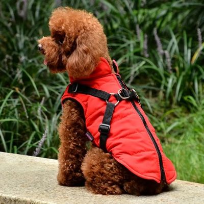 manteau pour chien avec harnais integre confort