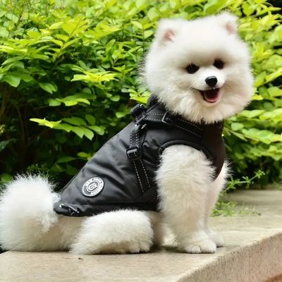 manteau pour chien avec harnais integre noir