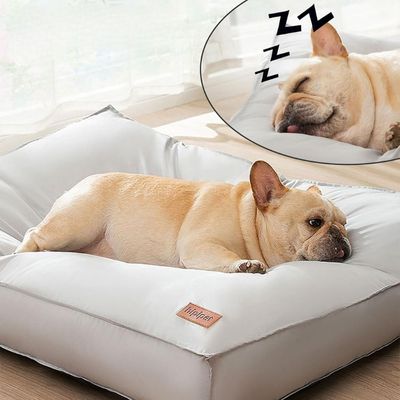 matelas-pour-chien-douillet