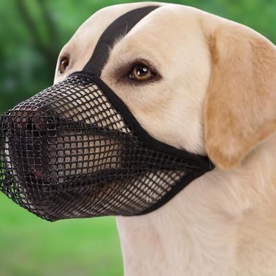 museliere-chien-legere