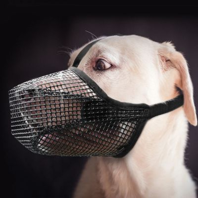 museliere-chien-noir