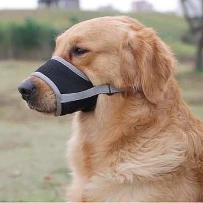 museliere-pour-chien-gris