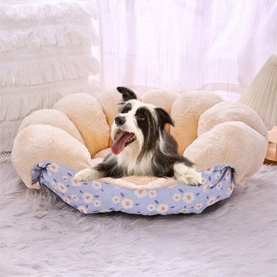 panier-a-chien-jeu